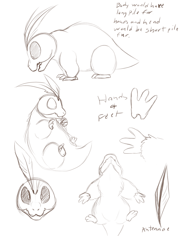 Anatomy reference for Chirrs.