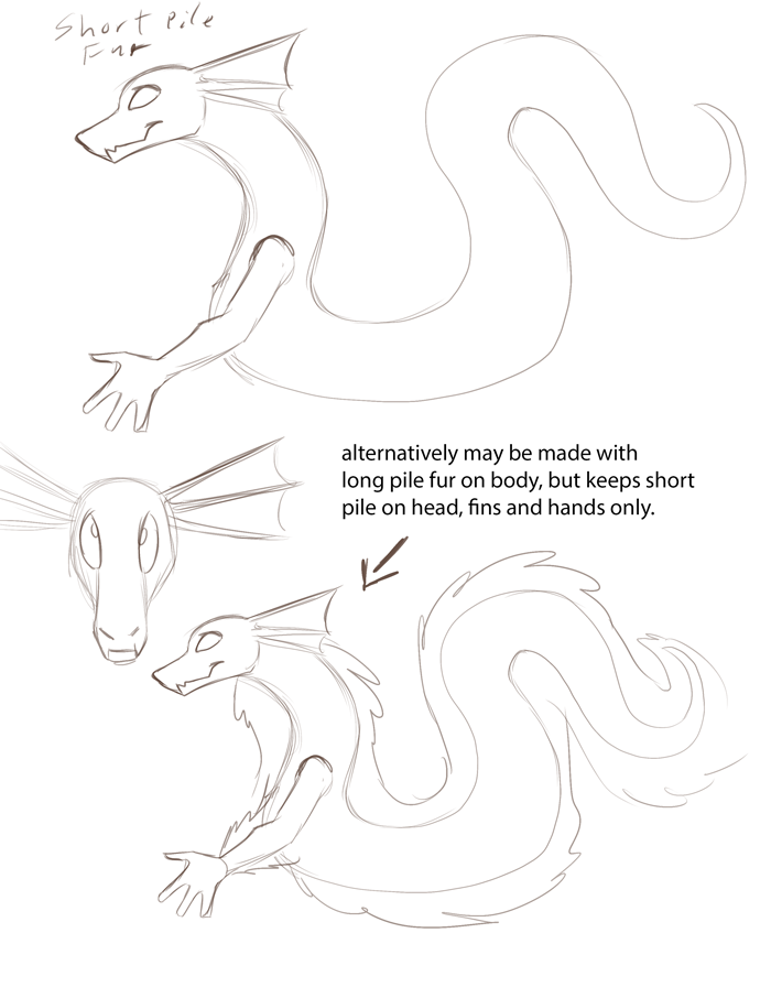Anatomy reference for Sirenidae.