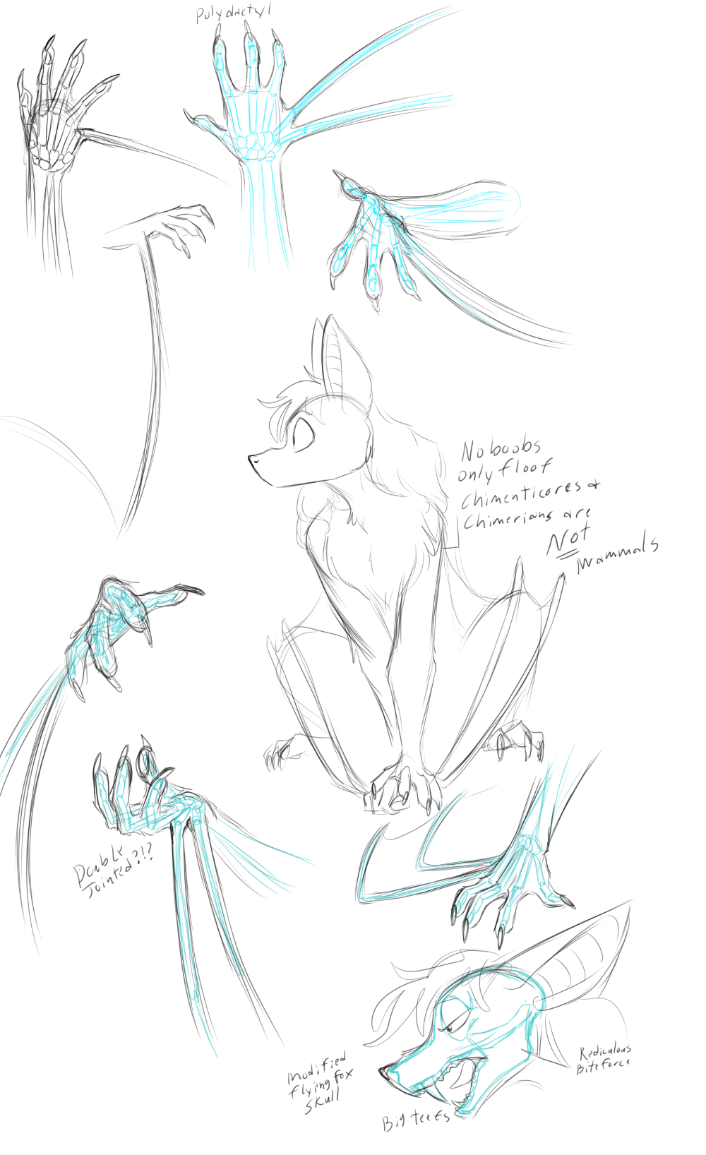 Chimerian anatomy studies.