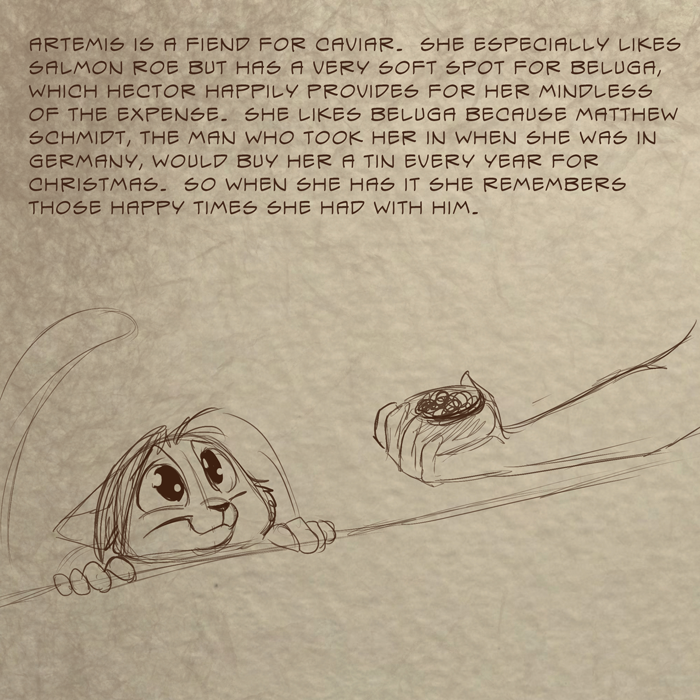 Trivia #25 (2019)