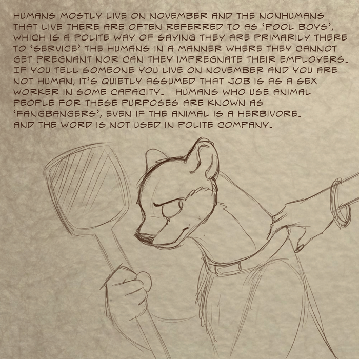 Trivia #27 (2019)