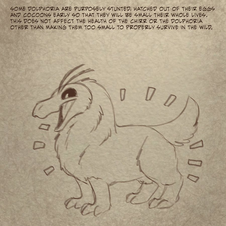Trivia #51 (2021)